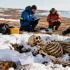 Четыре моряка экспедиции Франклина опознаны по ДНК спустя 179 лет
