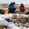Четыре моряка экспедиции Франклина опознаны по ДНК спустя 179 лет