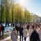 Погода на майские в Петербурге: синоптики обещают тепло и солнце
