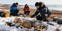 Четыре моряка экспедиции Франклина опознаны по ДНК спустя 179 лет