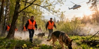 В апреле в Петербурге и Ленобласти пропали почти 300 человек
