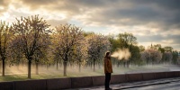 Похолодание в Петербурге и Ленобласти: ночи с заморозками и дождями