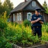 В Петербурге ужесточат контроль за дачниками: штрафы и изъятие земли
