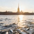 В Кронверкский пролив выпустили молодь сига в День корюшки