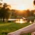 Комары выбирают не всех: как понять реакцию на укус и защититься