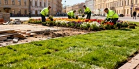 На 1-й Советской улице появится сквер с сотнями видов растений