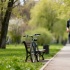 Где бесплатно заниматься спортом в Петербурге летом 2026 года