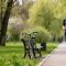 Где бесплатно заниматься спортом в Петербурге летом 2026 года