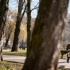 Четыре мягких способа поддерживать гибкость и спокойствие без изнуряющих тренировок
