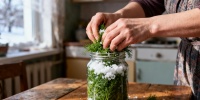 Как сохранить укроп свежим: рецепт изумрудной пасты для холодильника и морозилки