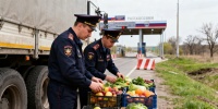 Россия приостанавливает импорт всей подкарантинной продукции из Армении с 12 июня