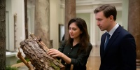 В Русском музее открыли интерактивную зону с фактурами леса