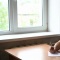 Психолог рассказал о двух привычках для повышения продуктивности без усилий