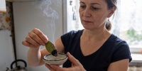 Почему многие отказываются от аэрозолей в пользу лаврового листа дома