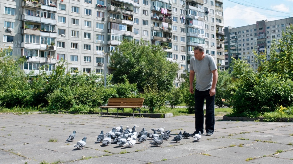 Какие болезни могут передаваться от голубей: важные меры предосторожности