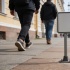 Мини-дорожные знаки в Петербурге: почему их почти не видно на улицах