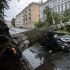 Ураган в Петербурге: деревья на дорогах, сбои транспорта и отключения света