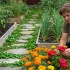 Пять луковичных, которые стоит высадить осенью для ранней весенней клумбы