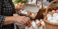 Как профессионалы выбирают яйца: советы для тех, кто ценит вкус и пользу