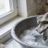 Как вернуть белизну носкам без кипячения: быстрый способ для дома