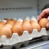 Рейтинг яиц 2026: какие бренды признаны лучшими по версии Роскачества