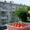 Как вырастить зелень и овощи на балконе: советы для городских жителей