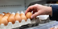 Рейтинг яиц 2026: какие бренды признаны лучшими по версии Роскачества