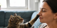 Почему кошки касаются лица человека лапой: что скрыто за этим жестом