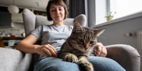 Зачем кошки мнут хозяев лапами: объяснение привычки и скрытые причины