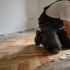 Когда можно укладывать новый пол поверх старого: советы мастеров