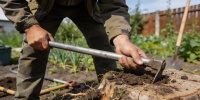 Три способа убрать пень на участке без техники: опыт китайских дачников