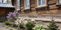 10 неприхотливых растений для фасада: как оформить участок без лишних хлопот
