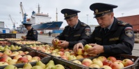 В Петербурге запретили ввоз яблок и груш из Чили и Аргентины
