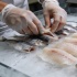 Сельдь и матиас: как отличить и почему цены так различаются