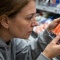 Как выбрать крабовые палочки без сои: главные признаки качественного продукта