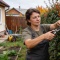 Живая изгородь без хлопот: кизильник блестящий вместо туи и забора