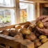 Пять ошибок при уборке картошки, из-за которых урожай не доживет до весны