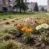 Пять цветов, которые не боятся города: клумба, которую не уничтожить