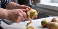 Зеленый картофель: когда можно есть, а когда лучше выбросить