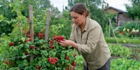 Пластиковая бочка вместо грядки: как сделать вертикальный сад на даче