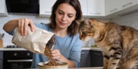 Роскачество определило лучшие корма для кошек с высоким содержанием мяса