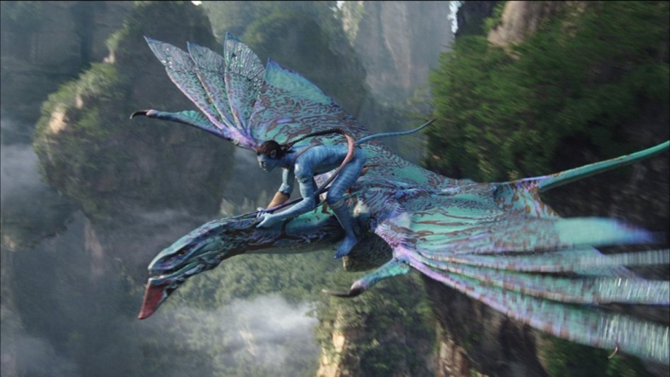 Где найти горы из «Аватара»: маршрут и цены для самостоятельных путешественников