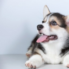 Фестиваль-ярмарка 