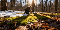 В средней полосе России ожидают ранний сезон весенних грибов