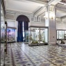 Фото Ночь музеев 2026 в Зоологическом музее