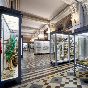 Ночь музеев 2026 в Зоологическом музее