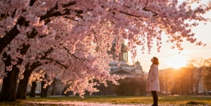 Топ-события Петербурга на этой неделе: День резидента в Севкабеле, турнир по петанку и концерт Билли Новика