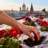 Почему стоит подождать с высадкой герани и петуний до середины мая