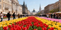 Топ-события Петербурга на этой неделе: 45-летие Ленинградского рок-клуба, концерт Сергея Пенкина и Книжный салон