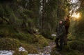 Фото Легенды леса